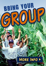 Bring your group to Harvest Moon Acres Corn Maze and Fun Park - Michigan